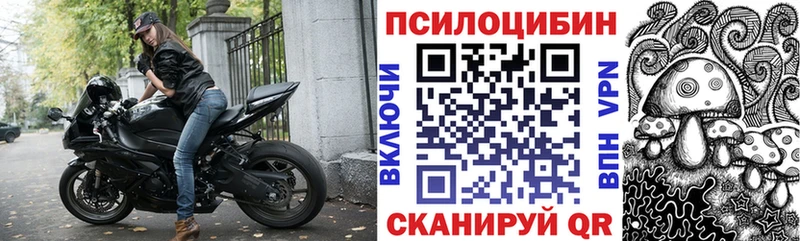 наркотики  Монино  Галлюциногенные грибы мухоморы 