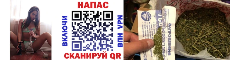 Конопля Ganja  Монино 